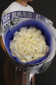 ROSE/ images for scale only