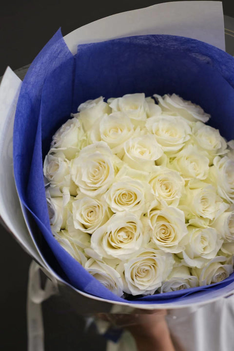 ROSE/ images for scale only